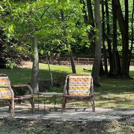Fuga Nella Natura - Rustico A Pochi Minuti Dal Di Lugano Cuasso Al Monte